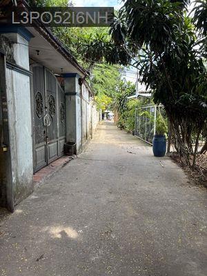 BÁN GẤP NHÀ CẤP 4 (NỞ HẬU ) - Phường 17  -  Quận Gò Vấp 