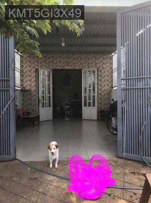 Nhà chính chủ Long An cần bán có sổ - Xã Đức Hoà Hạ  -  Huyện Đức Hòa 