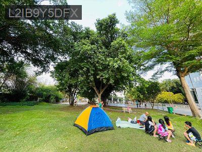 CHUNG CƯ DREAMHOME 1.  KẾ BÊN BỜ KÊNH THAM LƯƠNG, EMART 2. - Phường 14  -  Quận Gò Vấp 