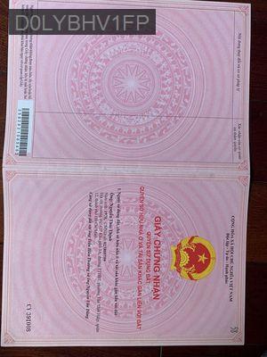 BÁN ĐẤT TRỒNG CÂY CAO SU LÂU NĂM - Xã Long Nguyên  -  Huyện Bàu Bàng 