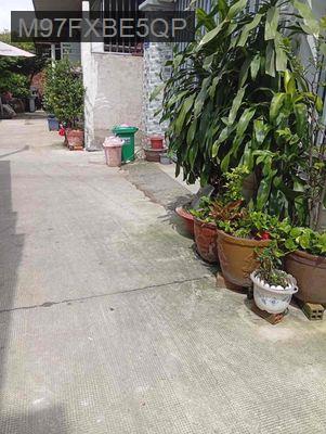Chủ định cư nên cần bán căn nhà Cấp 4 đang ở - Xã Trung Chánh  -  Huyện Hóc Môn 