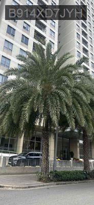 Bán căn hộ phong thủy và năng lượng tốt Chung Cư 4s Riverside Garden - Phường Hiệp Bình Chánh  -  Quận Thủ Đức 