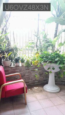 Căn hộ chung cư Sư Vạn Hạnh 83m2 P9 Q5 TPHCM - Phường 9  -  Quận 5 