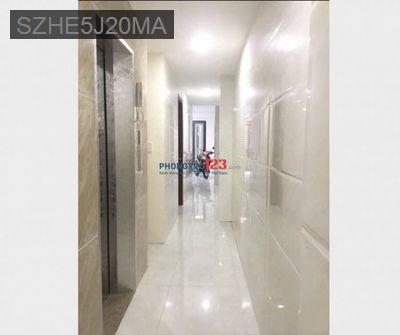 Bán tòa CHDV 5 tầng, 83m2, 15 phòng đường Nguyễn Công Trứ, Q.1 - Phường Nguyễn Thái Bình  -  Quận 1 