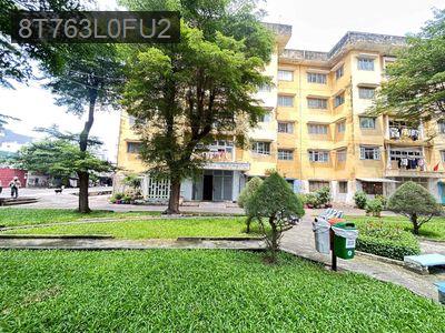 CC Bùi Minh Trực P6 Q8, 59m2 SHR Căn góc 2PN lầu 2  🌹 🌹 HHMG: 20tr🌹🌹. - Phường 6  -  Quận 8 