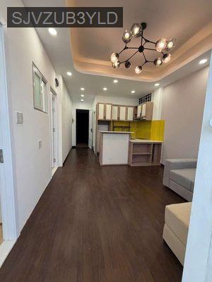 CHUNG CƯ CÂY MAI - NGUYỄN THỊ NHỎ, Q.11 - SHR - THANG MÁY RỘNG-2.xx - Phường 16  -  Quận 11 