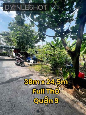 Full thổ 38 x 24,5m đất vuông vức gần chợ Long Trường Quận 9 - Phường Long Trường  -  Quận 9 