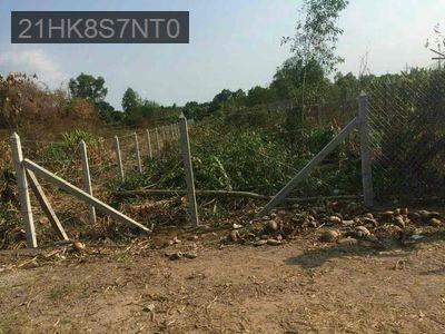 ket tiềnbán gấp lô đất - Xã Trung An  -  Huyện Củ Chi 