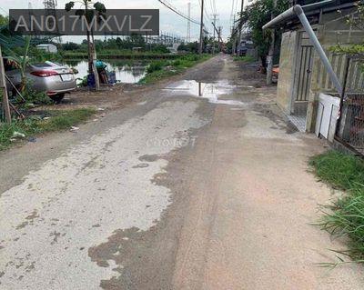 Cần bán nhà cấp 4 mặt tiền đường nhựa. - Xã Bình Hưng  -  Huyện Bình Chánh 