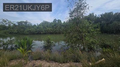 Bán Đất 1.600m² + 700m2 đất giấy tay mặt tiền đường nhựa An Thới Đông - Xã An Thới Đông  -  Huyện Cần Giờ 
