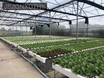 Cần Bán Đất Bình Chánh - Xã Bình Lợi  -  Huyện Bình Chánh 