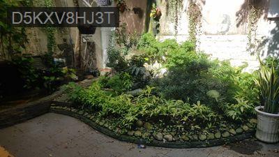 Bán nhà sau hẻm 353 nguyễn trọng tuyển - Phường 1  -  Quận Tân Bình 