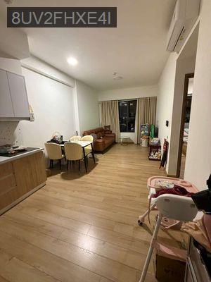 BÁN CĂN HỘ AKARI 2PN CHÍNH CHỦ - BLOCK D TẦNG 19 - Phường An Lạc  -  Quận Bình Tân 