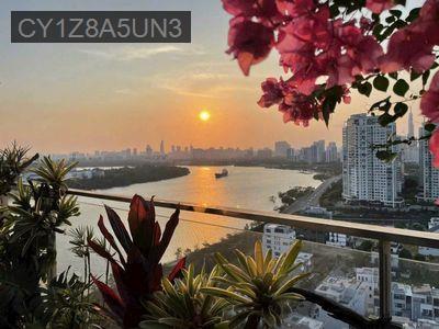 Penhouse luxury dự án One Verandah tháp Viento - Phường Thạnh Mỹ Lợi  -  Quận 2 
