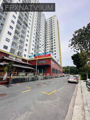 Cần Bán - Phường Phú Mỹ  -  Thành phố Thủ Dầu Một 