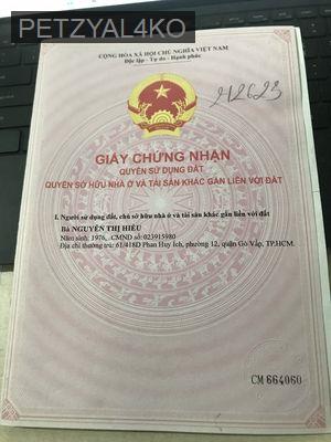 BÁN NHÀ HẺM XE TẢI NÉ NHAU ĐƯỜNG SỐ 59, GÒ VẤP NHÀ ĐẸP Ở NGAY - Phường 14  -  Quận Gò Vấp 