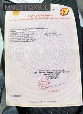 CHÚ BẢY CẦN BÁN GẤP CĂN NHÀ ĐỂ XOAY VỐN LÀM ĂN.  SHR, DỌN VÀO Ở NGAY - Xã Mỹ Hạnh Nam  -  Huyện Đức Hòa 