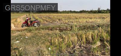 Ngộp bán rẻ lô đất hẻm chính chủ 2.940m² thuộc Tân Nhựt, Bình Chánh - Xã Tân Nhựt  -  Huyện Bình Chánh 