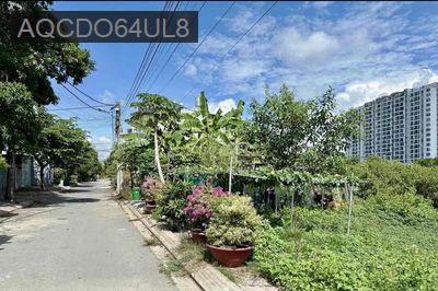 Đất 55m2 2,95 tỷ Gò Cát, p Phú Hữu Q9 - Phường Phú Hữu  -  Quận 9 