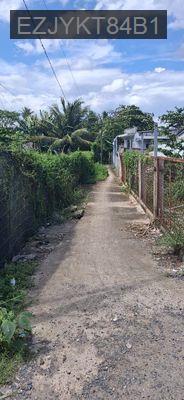 Bán đất hai mặt tiền Hương lộ trình - Xã Tân Kiên  -  Huyện Bình Chánh 
