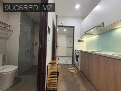 BÁN CĂN OFFICETEL FULL NỘI THẤT ĐẸP, CÓ BAN CÔNG, MỚI BÀN GIAO 2024 - Phường 6  -  Quận 8 