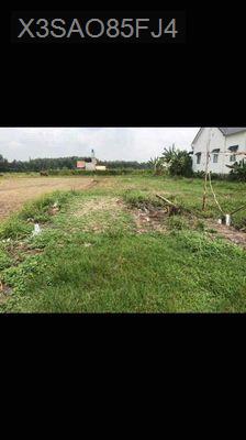 CHỦ KẸT TIỀN CẦN BÁN GẤP- ĐẤT SHR FULL THỔ CƯ - Xã Mỹ Hạnh Bắc  -  Huyện Đức Hòa 