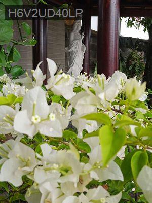 Bán đất Định Hoà,Thủ Dầu Một - Phường Định Hòa  -  Thành phố Thủ Dầu Một 