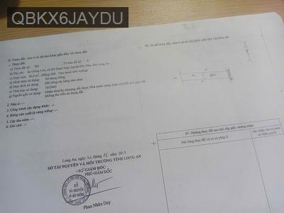 Cần Bán Gấp Đất Mỹ Hạnh Nam - Xã Mỹ Hạnh Nam  -  Huyện Đức Hòa 