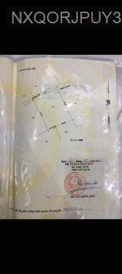 Bán vườn cây cao su 2 năm tuổi 2500m2 - Xã Phú Mỹ Hưng  -  Huyện Củ Chi 