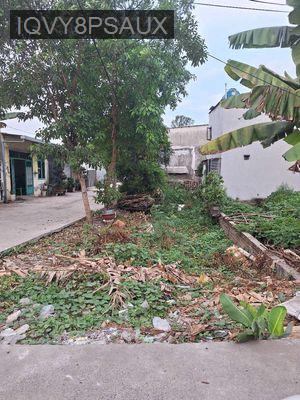 Cần bán gấp đất Ấp q, Vĩnh Lộc A - Xã Vĩnh Lộc A  -  Huyện Bình Chánh 