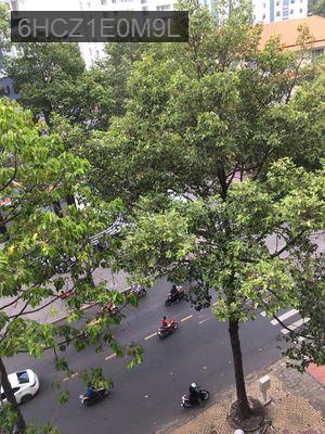 Trung tâm - Phường 7  -  Quận 11 