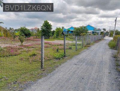 Cân ban gâp 1800m đât lua co 300m thô cư  đât 2 măt tiên đương xe tai - Xã Tân trạch  -  Huyện Cần Đước 