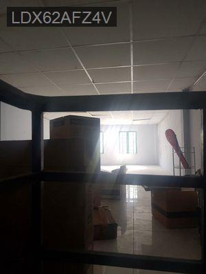 Nhà Trịnh Quang Nghị: 40m2, 01 phòng ngủ, hẻm xe ba gác, xã Bình Hưng - Xã Phong Phú  -  Huyện Bình Chánh 