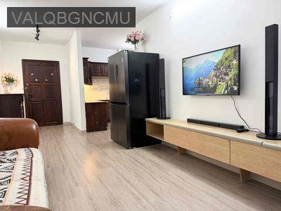 Bán căn hộ Bàu Cát 2, thang máy, 50m2 1PN-1WC Full nội thất, có Sổ - Phường 10  -  Quận Tân Bình 