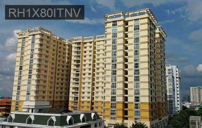 Căn hộ 100 mét, 3PN 2WC, rất đẹp tại PETROLAND quận 2, có sổ hồng - Phường Bình Trưng Đông  -  Quận 2 