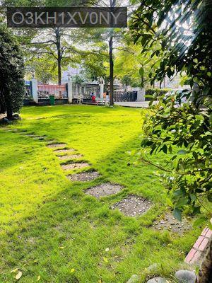 căn hộ 64m2, 2pn, 2wc, Gò Vấp - Phường 14  -  Quận Gò Vấp 