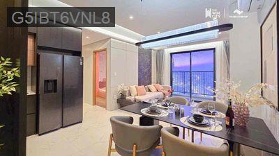 Căn Hộ thiết kế nội thất An Cường Cao Cấp LK Bình Tân 1ty6 - Phường Tân Tạo  -  Quận Bình Tân 