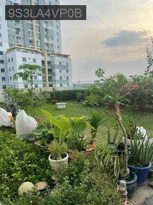 ✅✅BÁN CĂN HỘ BELLEZA Q7-75M2,2PN❎VIEW PMH💕SÂN VƯỜN CHUNG💰3.85 TỶ🔥🔥🔥 - Phường Phú Mỹ  -  Quận 7 