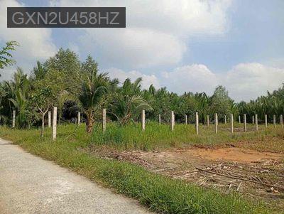 đất thổ cư chính chủ cần bán - Xã Bình Khánh  -  Huyện Cần Giờ 