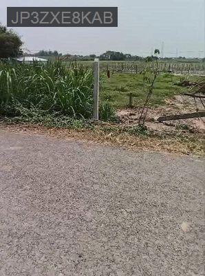 Bán đất mặt tiền đường nhựa Sát Vinhomes Tân Mỹ 900ha - Thị trấn Đức Hoà  -  Huyện Đức Hòa 