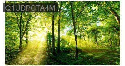 Bán căn hộ 2pn 2wc Dt 68m2 Celadon city - Phường Sơn Kỳ  -  Quận Tân Phú 