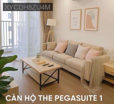(SỔ HỒNG)+(NỘI THẤT) BÁN CC CAO CẤP 2PN 2WC 68M2 PEGASUITE Q8 CHỈ 4TỶ5 - Phường 6  -  Quận 8 