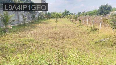 Cần bán - Xã An Ninh Đông  -  Huyện Đức Hòa 