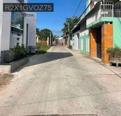 Cần bán gấp nhà đường Đinh Đức Thiện , Bình Chánh Dt 100m2 SHR - Xã Bình Chánh  -  Huyện Bình Chánh 