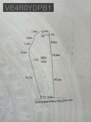 Cần bán nhà - Xã Tân Lân  -  Huyện Cần Đước 