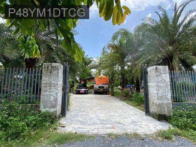 Đất sẵn sổ ngang23x60 mặt tiền đường xe tải thông - Xã Bình Mỹ  -  Huyện Củ Chi 