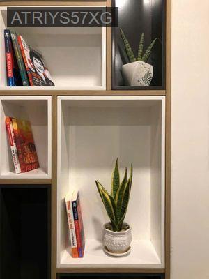 cần bán căn hộ - Phường 5  -  Quận 11 