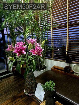 bán căn hộ view đẹp tầng đẹp - Xã Bình Hưng  -  Huyện Bình Chánh 