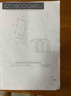 bán nhà cấp 4 + nhà yến thu nhập hơn 200tr/năm - Xã Bình Mỹ  -  Huyện Củ Chi 