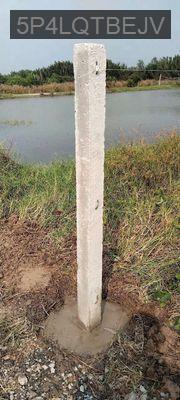 CHÍNH CHỦ CẦN BÁN GẤP 1.500M2 ĐẤT BÌNH KHÁNH – ĐẦU TƯ SINH LỜI CAO - Xã Bình Khánh  -  Huyện Cần Giờ 